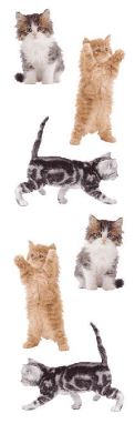 מדבקות - Kitties