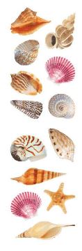 מדבקות - Seashels