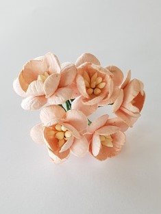 פרחי נייר - פריחת הדובדבן - אפרסק
