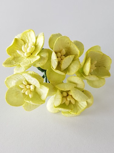 פרחי נייר - פריחת הדובדבן - ירוק בהיר