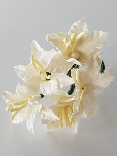 פרחי נייר - מיני לילי 5 יחידות - לבן