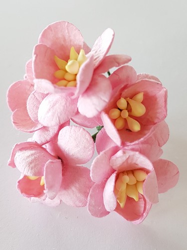 פרחי נייר - פריחת הדובדבן - ורוד בהיר