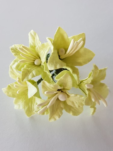 פרחי נייר - מיני לילי 5 יחידות - ירוק בהיר
