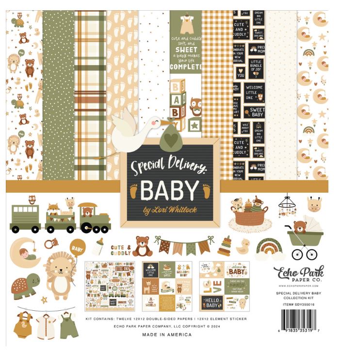 מארז דפי קארדסטוק 12&quot; - Special Delivery Baby-Collection Kit