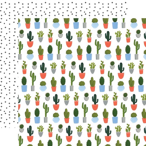 דף קארדסטוק 2120- Plant Lady - Cacti