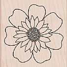 Many Petals Wood Mounted Stamp