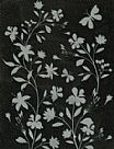 silhouette vines Cling Stamp Set
