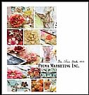 The idea book 2010 prima