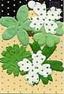 Mini Me's Flowers Green