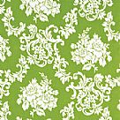 Girls World Vibe -Carrie - GRASS