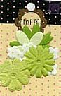 Mini Me's Flowers Lime