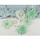 Lousa May Alcotts-mint
