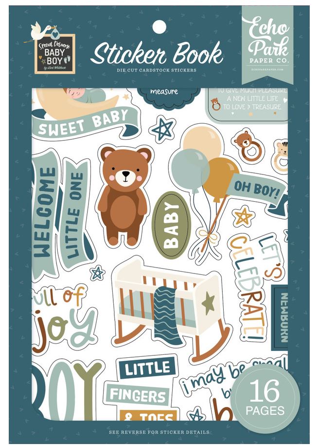 ספר מדבקות - Special Delivery Baby Boy Sticker Book