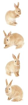 מדבקות - Rabbit