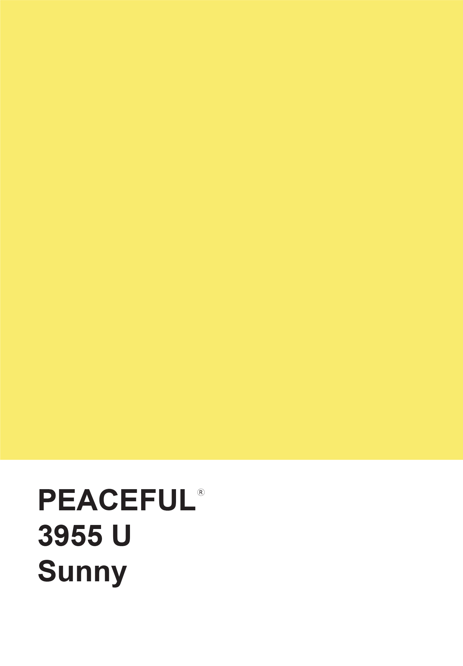 פנקס ממו 12X17.5 ס&quot;מ - צהוב Sunny