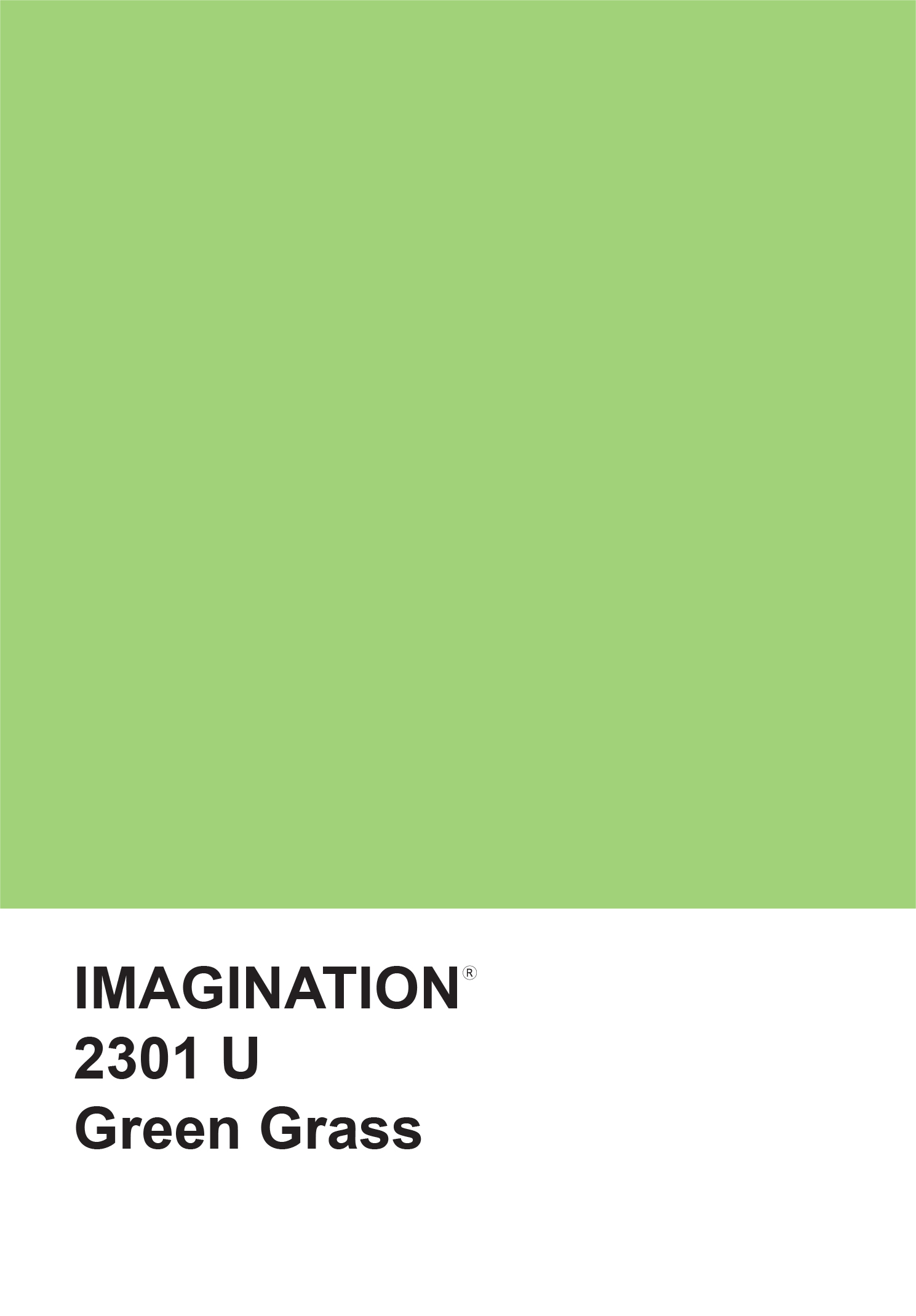 פנקס ממו 12X17.5 ס&quot;מ - ירוק Green Grass