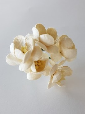 פרחי נייר - פריחת הדובדבן - קרם