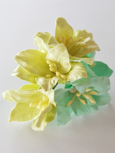 פרחי נייר - ליליות - ירוק אקווה