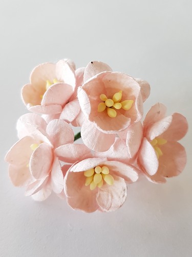 פרחי נייר - פריחת הדובדבן - ורוד בייבי