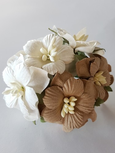 פרחי נייר - עלי צדפה - חום-לבן