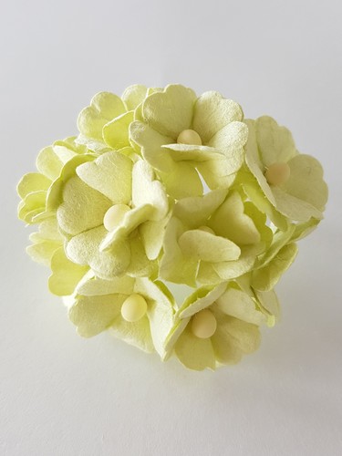 פרחי נייר - פרח רומנטי - ירוק בהיר