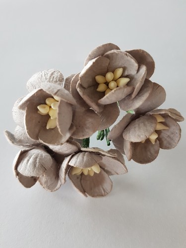 פרחי נייר - פריחת הדובדבן - אפור