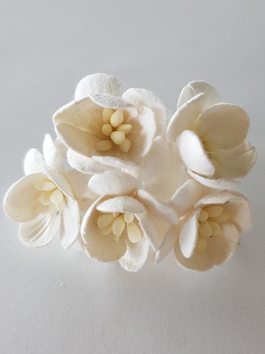 פרחי נייר - פריחת הדובדבן - לבן