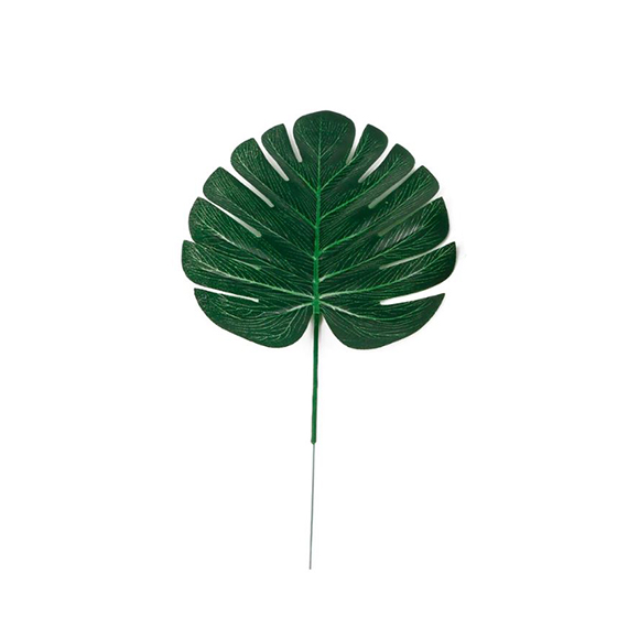 מארז 25 בראדים צבעוניים