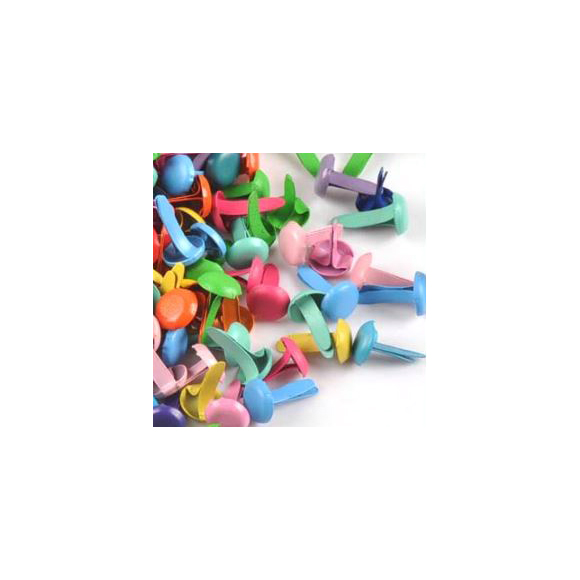 מארז 25 בראדים צבעוניים