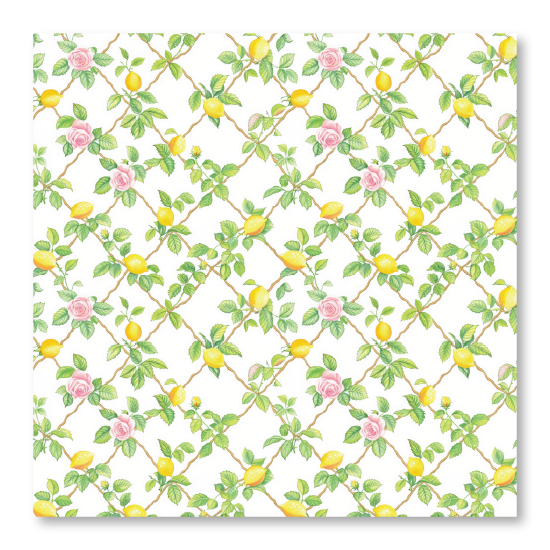 מארז דפי קארדסטוק 12" - פריחה איטלקית