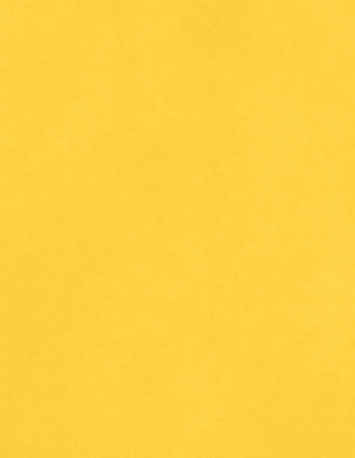 1077 - Smooth Cardstock 8.5X11&quot; Sunflower