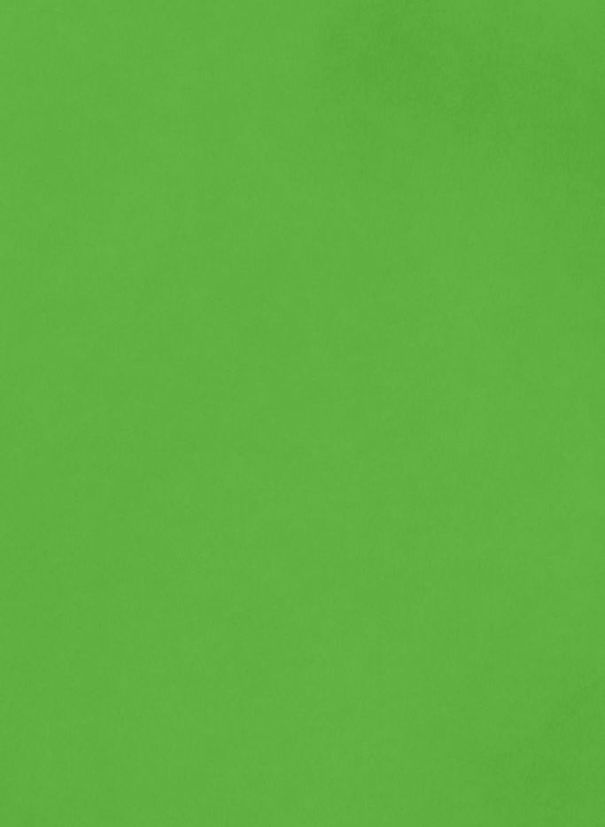 1076 - Smooth Cardstock 8.5X11&quot; Grass