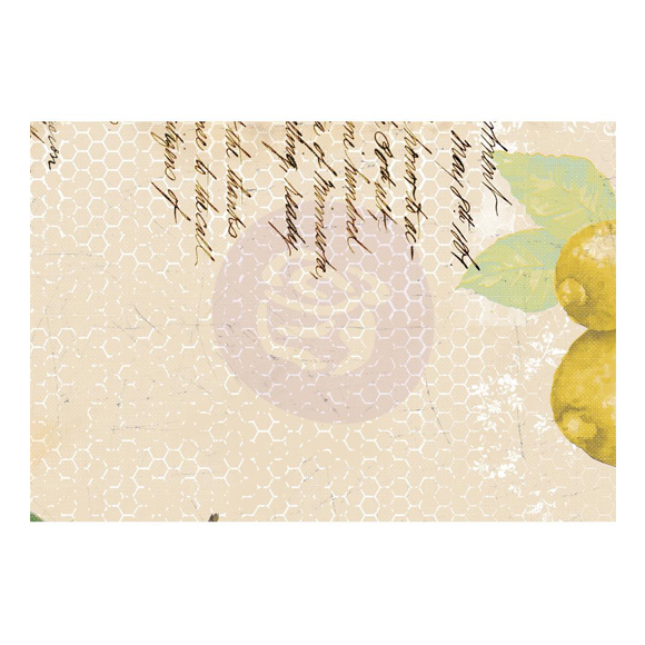 מארז כרטיסיות "Fruit Paradise 4"X6