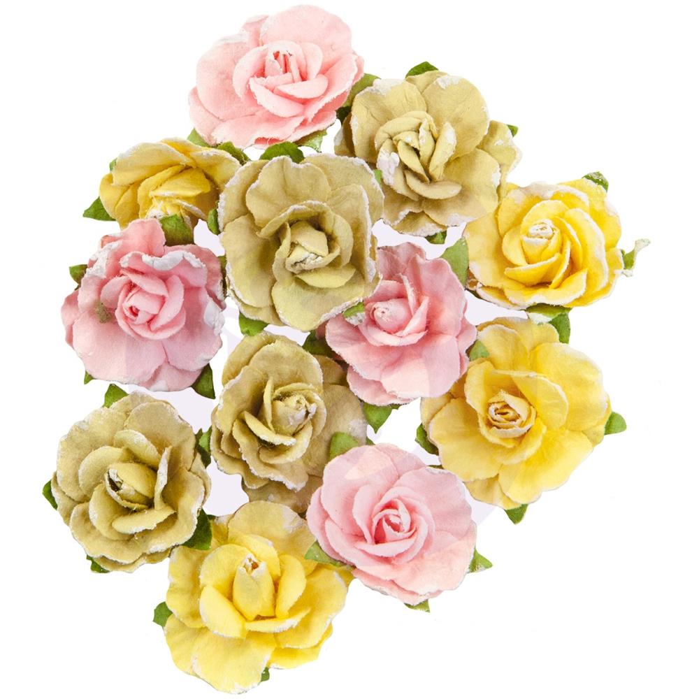 פרחי נייר Fruit Paradise Paper Flowers - Sweet Grapefruit
