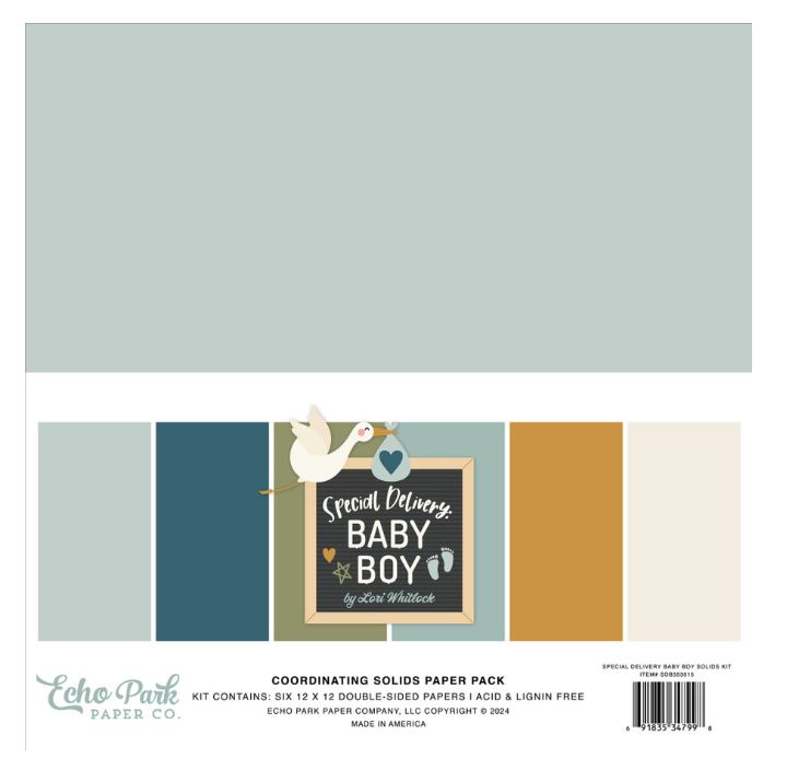 מארז דפי קארדסטוק 12&quot; - Special Delivery Baby Boy Solids Kit