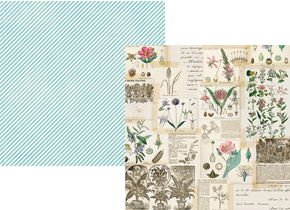דף קארדסטוק 25 Simple Vintage Botanicals - Collect Moments