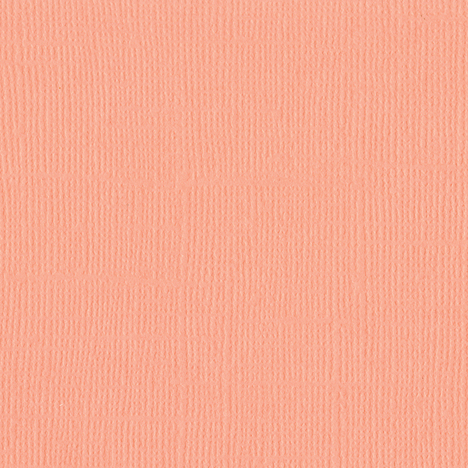 דף קארדסטוק 12&quot; 2285- Mono - Coral Cream