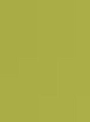 מארז דפי A4- זית