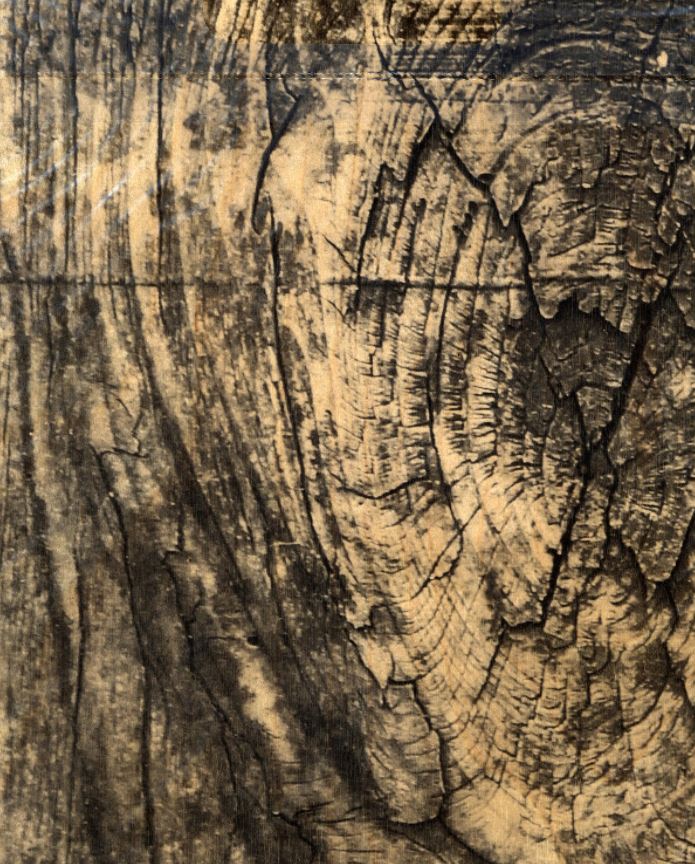 גליון נייר עץ ליבנה טבעי - Sticky BARC Rustic Birch