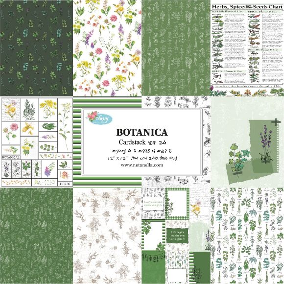 מארז דפי קארדסטוק - Botanica