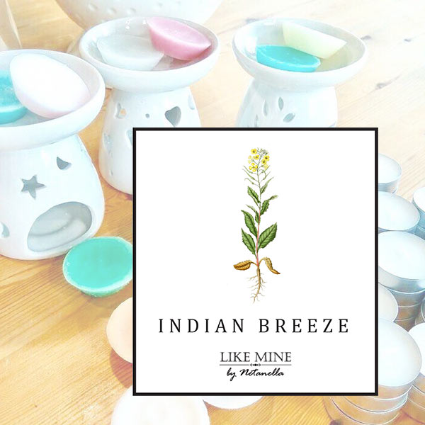 דיסקית שעווה - Indian Breeze