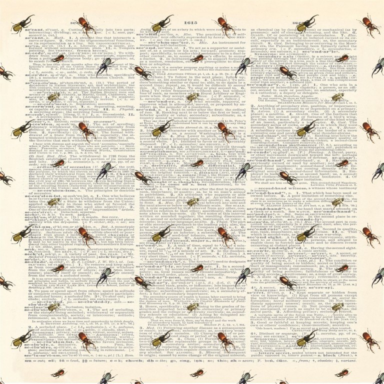 803 זכרונות אנטומולוגיים - חרקים קטנים